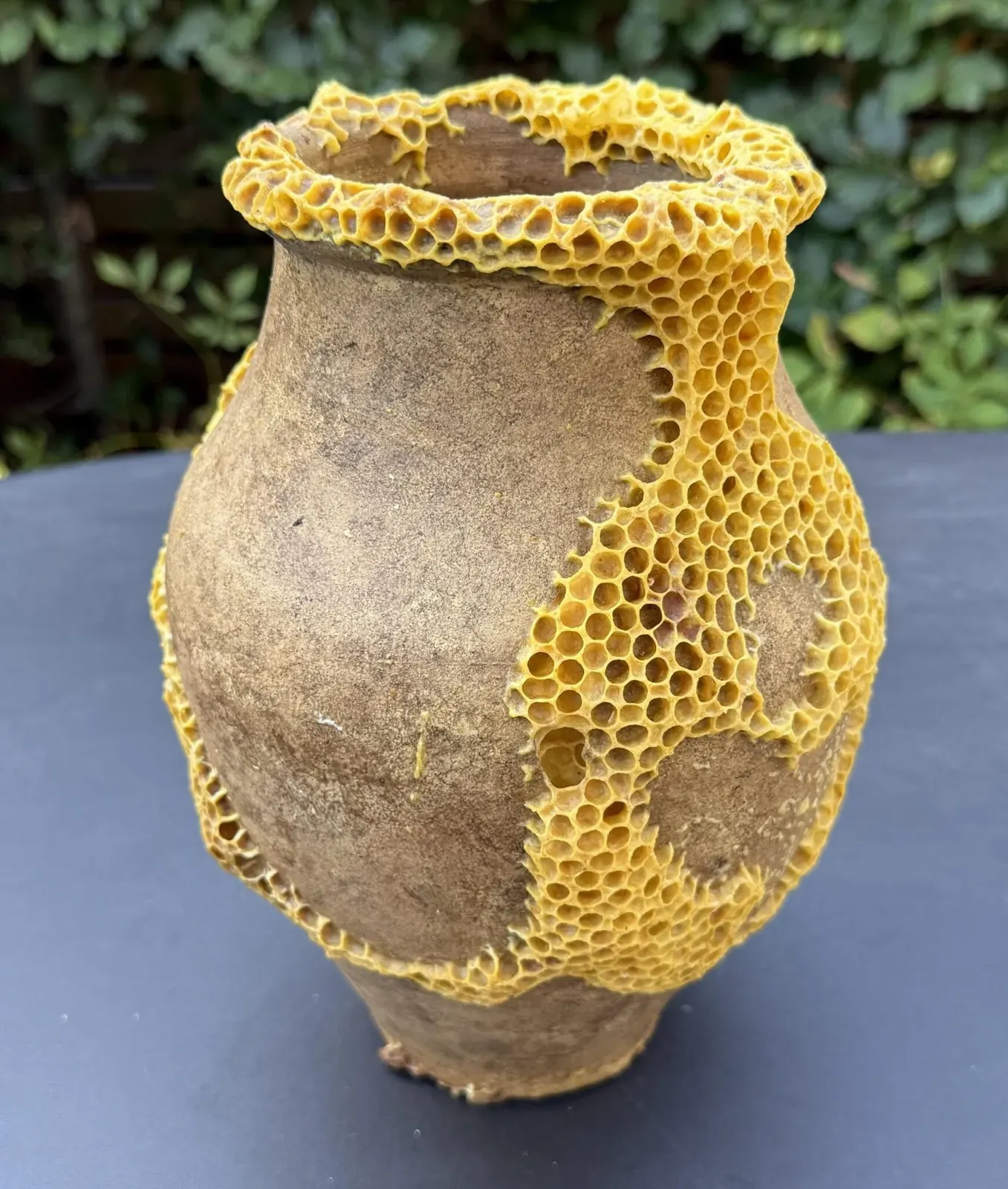 Ava Roth, série Kintsu-Bee, céramique ébréchée placée dans une ruche active de l'Ontario et complétée par les ouvrières avec une architecture hexagonale en cire dorée, mai 2026