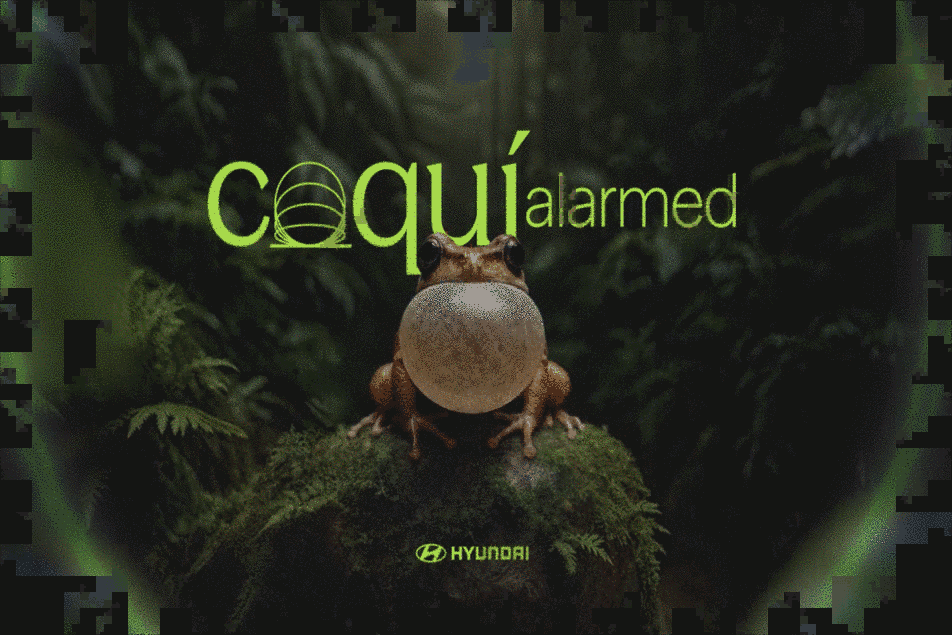 Visuel principal de la campagne Coqui Alarmed signée BBDO Puerto Rico pour Hyundai Puerto Rico dévoilée en janvier 2026, plongée plein cadre sur une grenouille coquí brune trapue de Porto Rico vue de dos sur un sol moussu humide entouré de larges feuilles tropicales vert sombre, ambiance forêt humide nocturne en lumière vert acide, titre Coquí alarmed en lettres vertes phosphorescentes