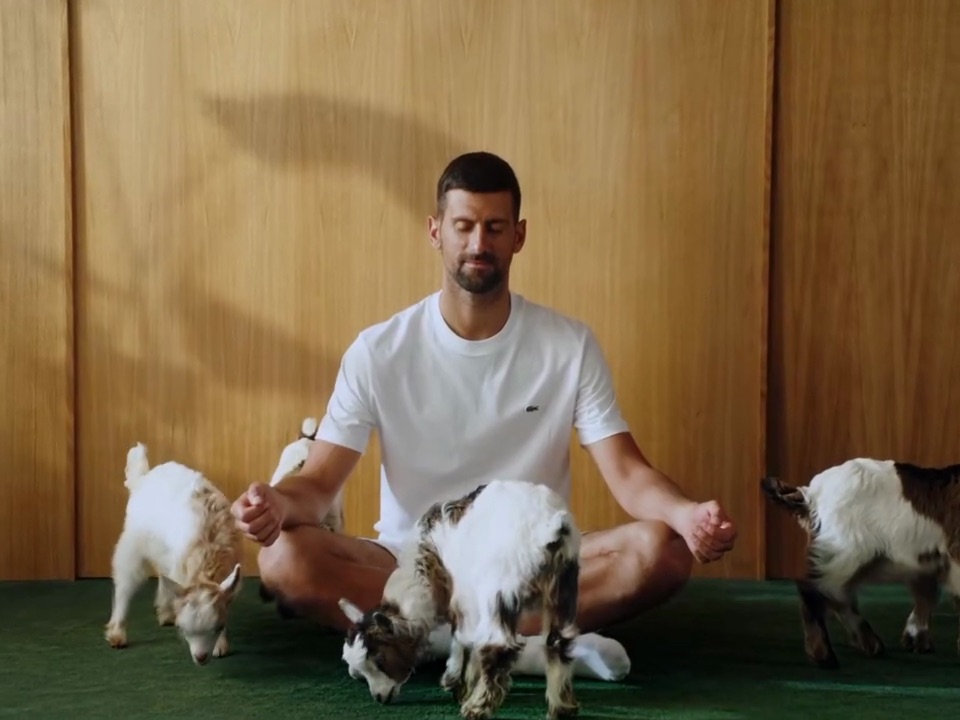 Photogramme d'un second film de la campagne The GOAT of every court réalisée par Max Siedentopf pour Lacoste et Novak Djokovic filmé à Londres et diffusé à partir du 26 juin 2026, plan large frontal du tennisman assis en posture du lotus les paumes en signe de méditation vêtu d'un tee-shirt blanc uni Lacoste et d'un short blanc dans une salle studio aux murs entièrement lambrissés de bois clair vertical, sol en moquette vert court de tennis, quatre chevreaux tachetés noir blanc et brun broutent et déambulent autour de lui l'un tourne le dos au centre l'autre lui frôle les genoux, lumière naturelle rasante venue de la gauche