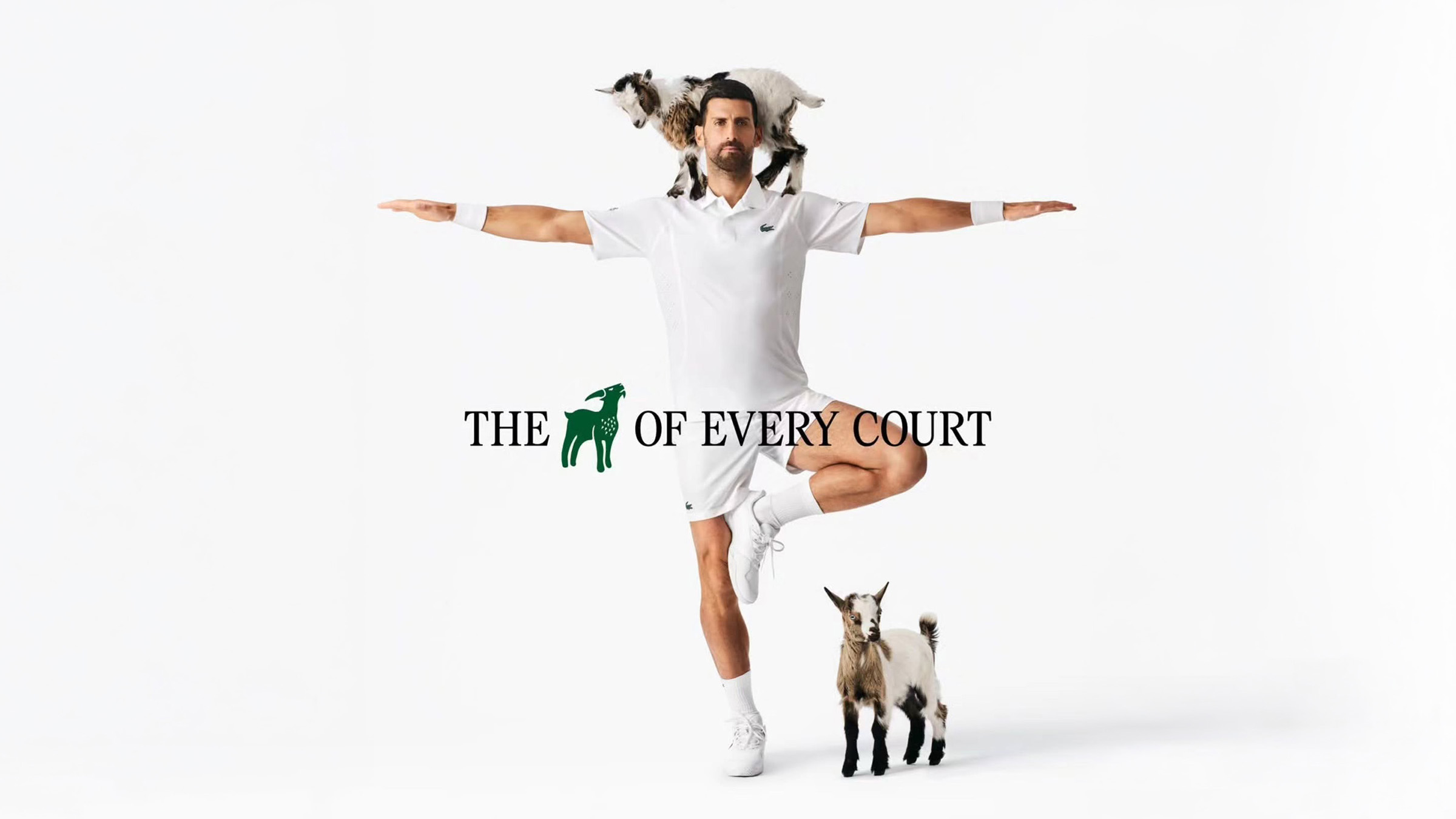 Affiche clé de la campagne The GOAT of every court signée par Lacoste et le réalisateur Max Siedentopf pour Novak Djokovic dévoilée le 26 juin 2026 à quelques jours de Wimbledon 2026, plan fond blanc studio du joueur serbe en tenue de tennis blanche polo Lacoste short short chaussettes hautes et sneakers assorties debout en posture de yoga vrikshasana bras tendus à l'horizontale genou droit relevé jambe gauche d'appui, une chèvre naine noire et blanche perchée en équilibre sur ses épaules à l'horizontale, un chevreau brun et blanc debout à ses pieds, signature typographique en serif noir The GOAT of every court centrée avec pictogramme chèvre verte remplaçant le mot GOAT, cadrage vertical à mi-corps
