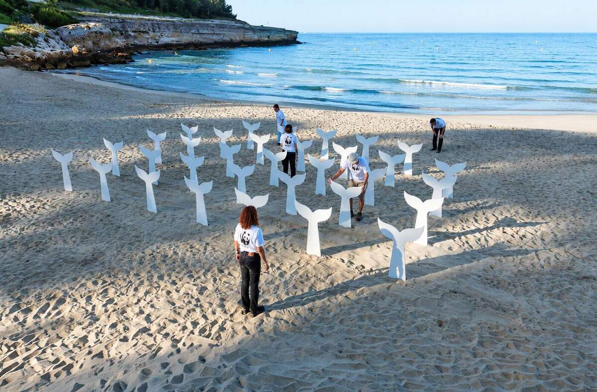 Photographie en plongée légère prise fin juin 2026 sur une plage de sable clair en bord de Méditerranée près de Marseille pendant l'installation Whalemorial signée Dagobert pour le WWF France, une trentaine de stèles blanches découpées en forme de queues de baleines dressées à la verticale plantées côte à côte dans le sable à intervalles réguliers, autour de l'installation quatre bénévoles en tee-shirt blanc floqué du logo WWF panda noir en train de redresser et d'aligner les stèles au premier plan une femme aux cheveux bouclés châtain vue de dos les mains sur les hanches, en arrière-plan mer bleu turquoise calme falaises calcaires claires blanchies de végétation basse et bouées jaunes flottantes, aube d'été lumière chaude et rasante