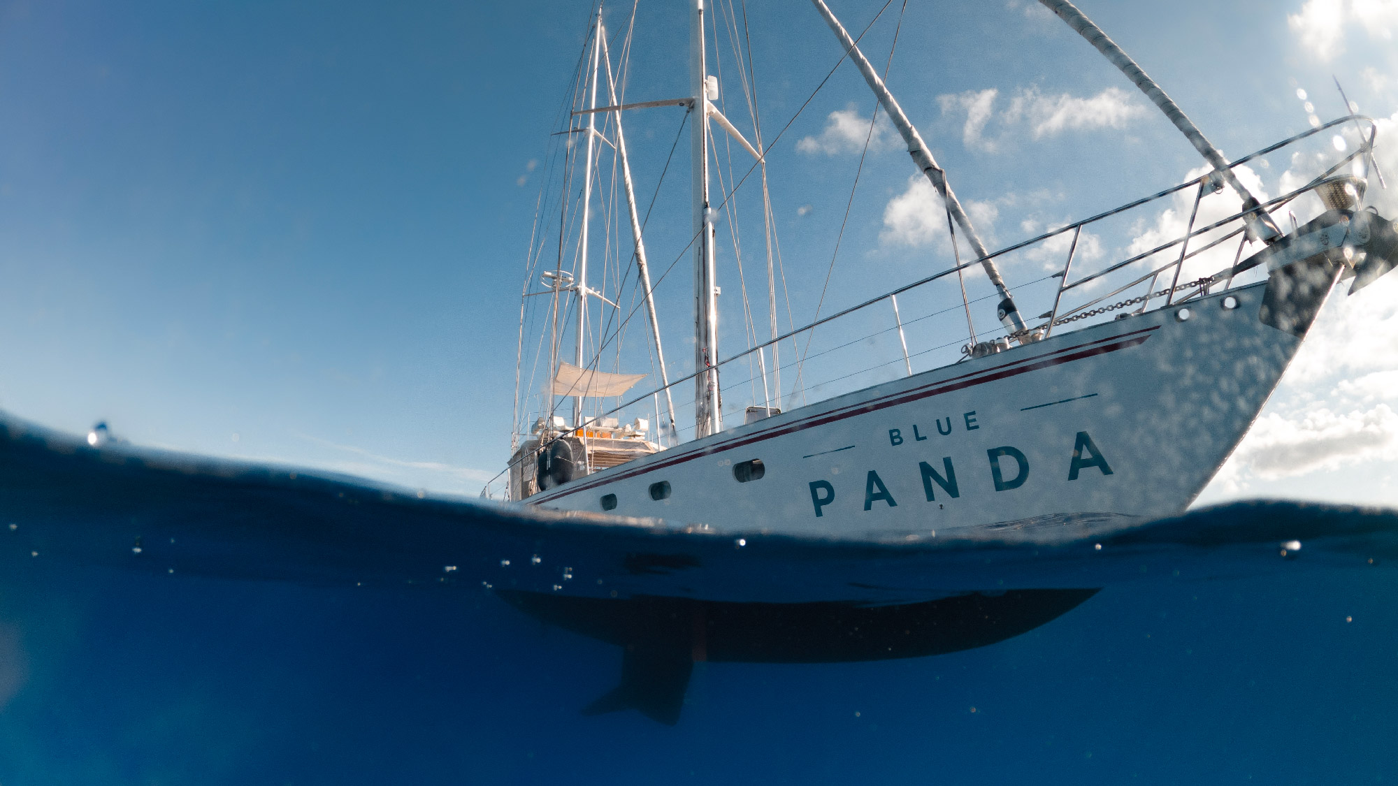 Le Blue Panda, voilier scientifique du WWF France, amarré près du Palais des Festivals de Cannes 2026, photo Hugo Hebbe / WWF France